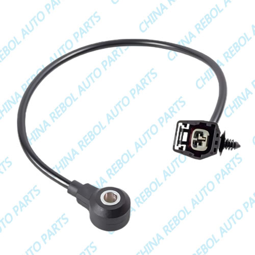 Knock sensor