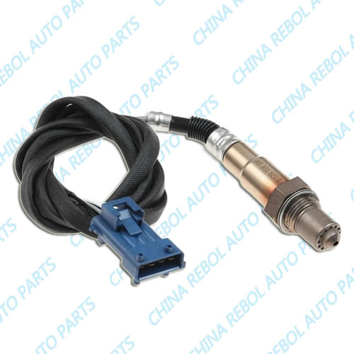 Oxygen Sensor