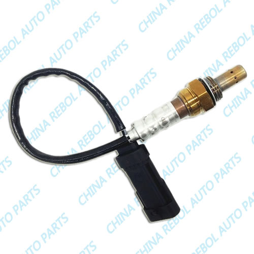 Oxygen Sensor