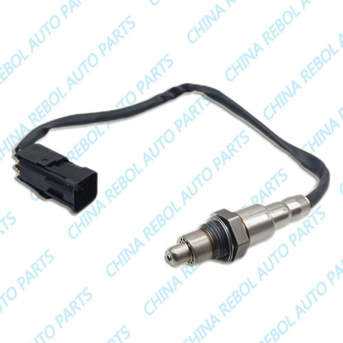 Oxygen Sensor