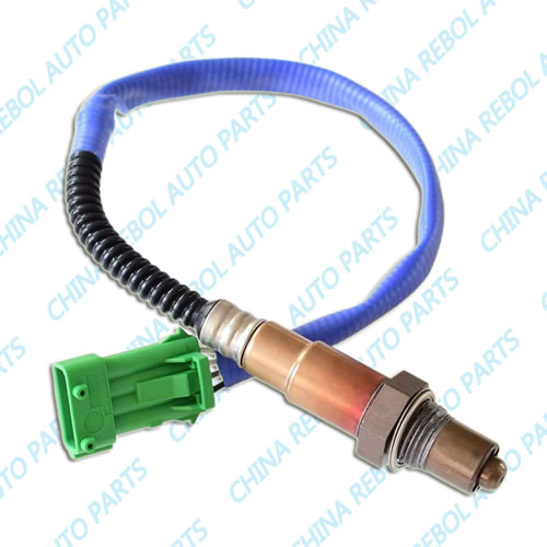 Oxygen Sensor
